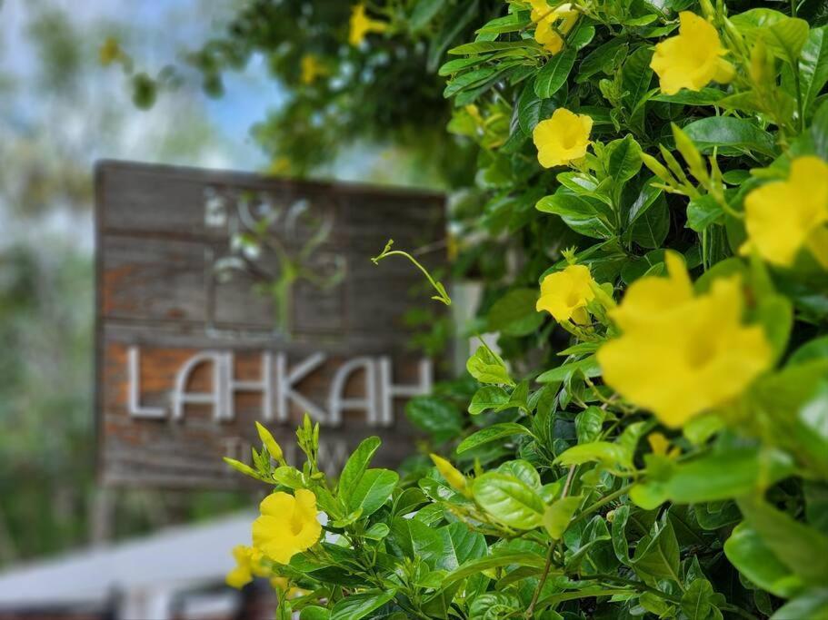 דירות Amazing Jungle Retreat Lahkah טולום מראה חיצוני תמונה