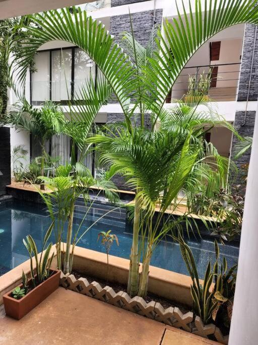 דירות Amazing Jungle Retreat Lahkah טולום מראה חיצוני תמונה