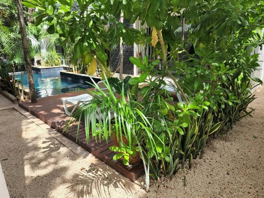 דירות Amazing Jungle Retreat Lahkah טולום מראה חיצוני תמונה